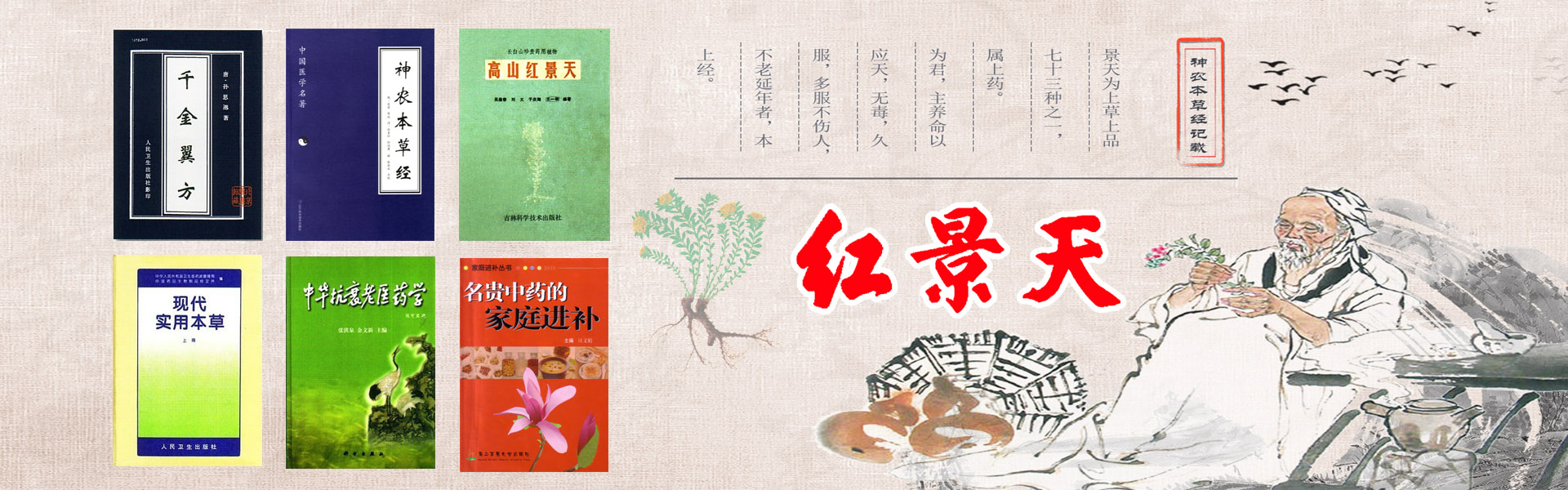 醫學典籍介紹紅景天